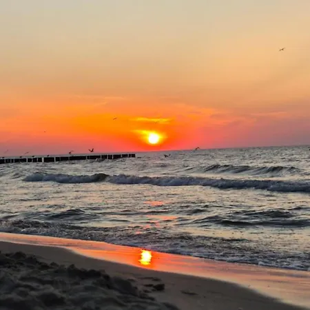 Fala * 드지우노웨크