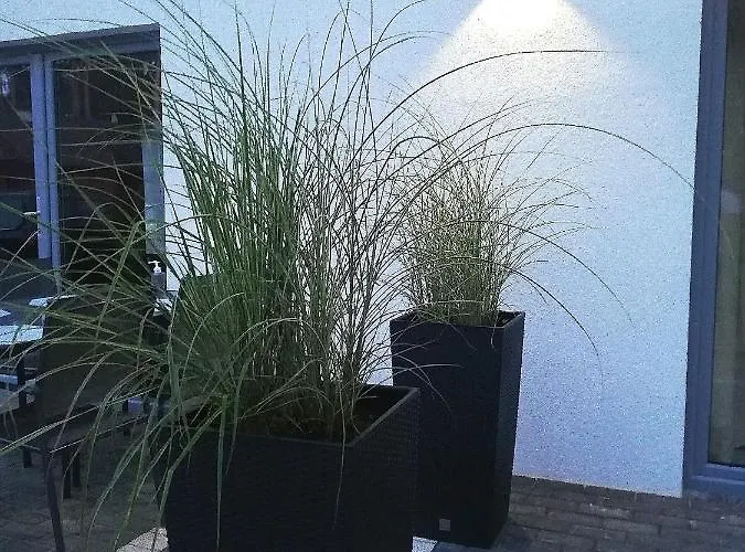 Fala Alpesi faház Dziwnówek